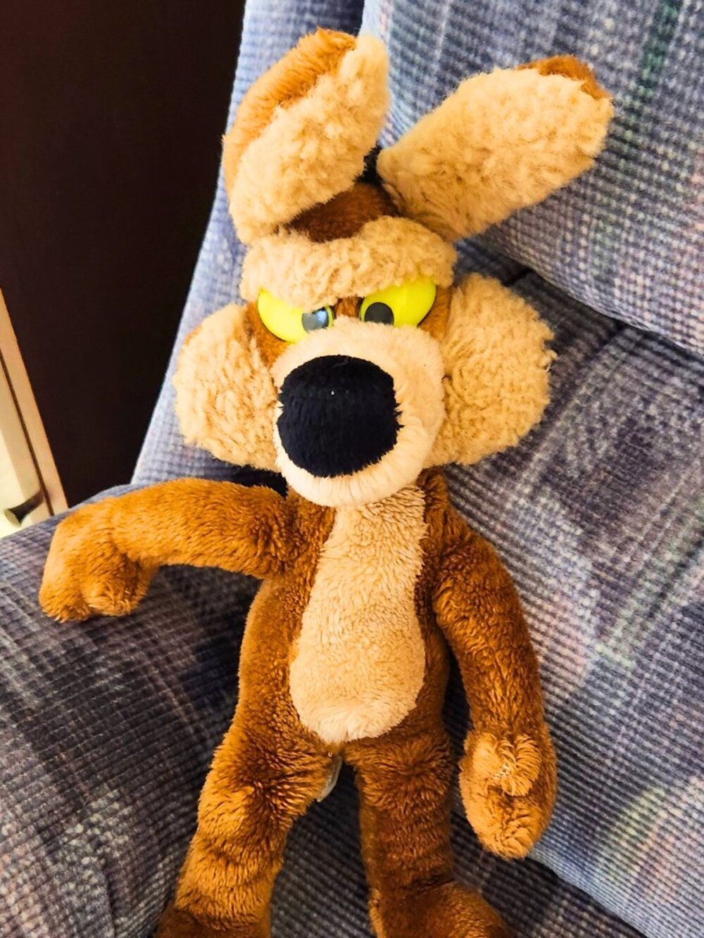 Vintage Wile E. Coyote Looney Tunes Collectible Plush